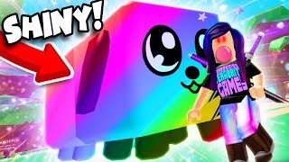 SHINY RAINBOW DOGCAT SECRET PET! ?? (Roblox Bubble Gum Simulator)