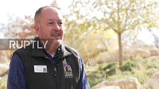 USA: Two hyenas at Denver Zoo test positive for COVID in world first
