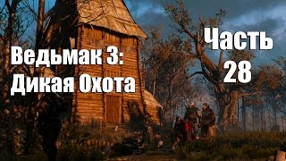 The Witcher 3: Wild Hunt - Трагедия на болоте № 28