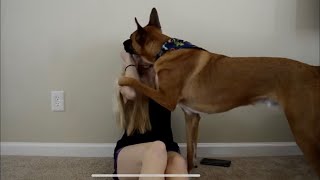 WHAT AN ANXIETY ATTACK LOOKS LIKE WITH A SERVICE DOG