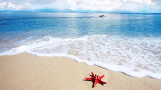 9h de bruits des vagues, Musique pour dormir et s'endormir, Relax'Tv