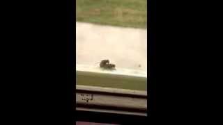 Fly Vagina