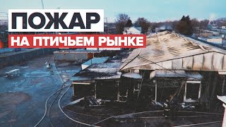 Пожар на птичьем рынке в Самаре — видео