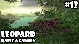 Ultimate Jungle Simulator - Leopard : Raise a Family - Android/iOS - Gameplay Episode 12