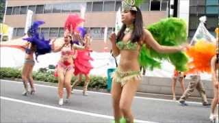 サンバ神戸まつり２０１２（サンバストリート） 　Escola De Samba KOBECCO