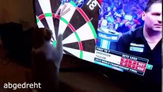 Cat watch Darts World Cup Final 2015 - Anderson vs. Taylor | abgedreht!