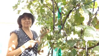 Видео . Отрывки не показанных видео за последнее время.