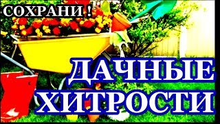 ПОЛНОЕ СОБРАНИЕ , ДАЧНЫЕ ХИТРОСТИ ДЛЯ САДОВОДА , И ОГОРОДНИКОВ! Сохраните, чтобы не потерять!