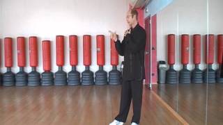 "Il Tai Chi Chuan è un'illusione ottica":Lezioni on line di Tai Chi Chuan del Maestro M. Morena