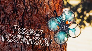 Попытался сломать - не получилось. Синевуп - ТАНК [Foxeer Foxwhoop 25]