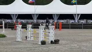 9 yo top gp prospect jade van het lindehof ???