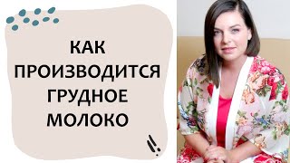 Выпуск 24. Как работает ЛАКТАЦИЯ? Грудное вскармливание