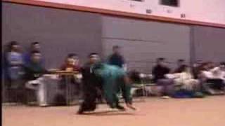 monkey staff kung fu