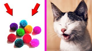 DIY - kids crafts and Games | projects for pets toy for cats | Fun With  Kids