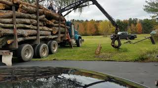 Firewood logs delivered for processing