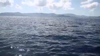 slow-jigging