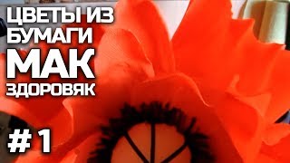 ЦВЕТЫ из бумаги. МАК ЗДОРОВЯК. Часть 1