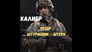 Обзор игры Калибр - игрок поддержки ШТЕРН