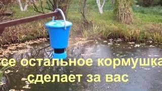 кормление карпов в пруду  автоматические кормушки для пруда www.avtokorm.ru t.985 644-56-78