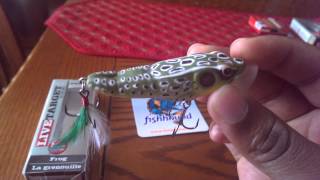 Fishhound.com Kopper Live Target Popper Frog
