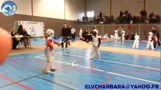 Chanbara 2013 Kyu Poussin Kodachi 2