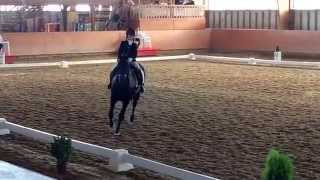 Prova Dressage P3 Quinta Beloura -1Lugar