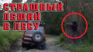 Страшный леший в лесной глуши | ФАКТ или ВЫМЫСЕЛ №140