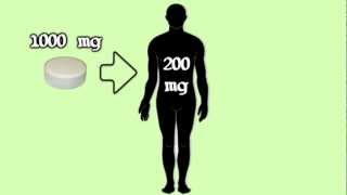Liposomal Encapsulated Vitamin C - DIY Vitamin C Mega-Dosing