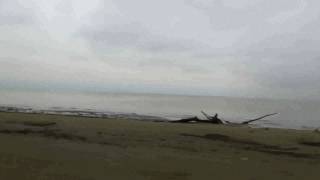 Краснодарское водохранилище (Кубанское море), осень 2016