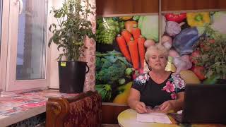 Томаты для открытого грунта. Каким томатам не нужны теплицы? Они поразят вас выносливостью!
