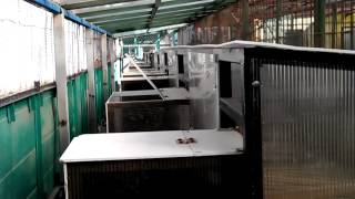 Клетка для кроликов akrodom 1