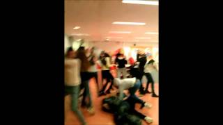 harlem shake college den hulster
