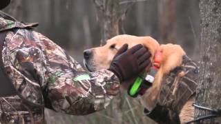 Georgia Duck Hunt