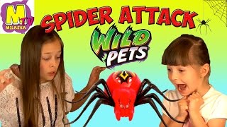Spider Attack  Интерактивная игрушка для детей Паук Атакует Spider Wild Pets Toys Spider