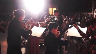 Брикси. Концерт для органа Ре-мажор. Игорь Рощупкин и Synergy Orchestra