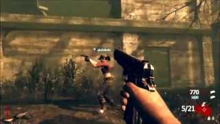 BO2 Zombie-Как собрать Вундер орудие на карте ТранЗит