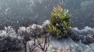 Fruity Loops song - The Perfect (snow)Storm