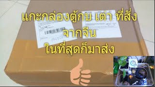 แกะกล่องตู้เลี้ยงกบ เต่า พร้อมจัดตู้แบบสวยๆสไตล์ธรรมชาติ