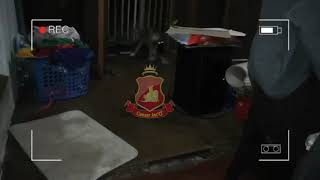 Tatakan Poop Pee Potty Tray + Rumput - Pet Toilet Anjing Kucing Hewan