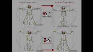 The New World Order Theory #01(Pocra Opposite System) Uomo Vitruviano.concept (2-4)