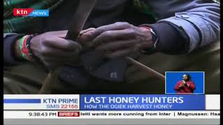 Last Honey Hunters: How the Ogiek still harvest honey using old-fashioned way to date