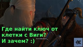 Где найти ключ от клетки с Виги? И зачем? :)