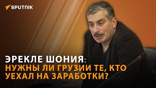 Грузия должна быть готова к возвращению своих мигрантов - экспертное мнение
