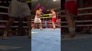 Canelo's Body Shots are BRUTAL #shorts