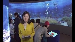 Interactive digital aquarium حوض سمك رقمي كبير