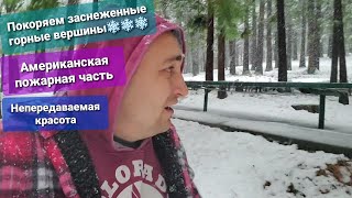 Американский Дальнобой Горы замело снегом Будем прорываться Нашёл в лесу пожарную часть Как в Сказке