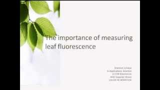 Photosynthesis: The Importance of Measuring Leaf Fluorescence