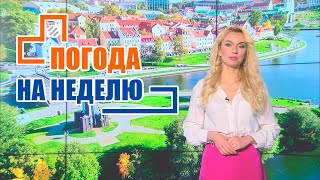 Как начнётся август? Погода на неделю / Прогноз погоды с 1 по 7 августа 2022 / Плюс-минус