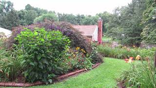 Upper yard video 8 4 18