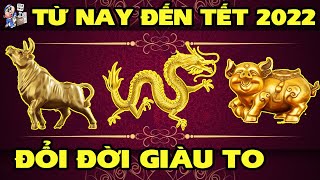 Phát Hiện Bí Mật Kinh Hoàng, Về Vận Mệnh 3 Con Giáp, Từ Nay Đến Tết 2022, Trúng Quả Phát Tài.